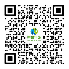 黄瓜视频黄片下载生物-黄瓜视频软件网站/黄瓜视频黄片APP/黄瓜视频黄在线观看廠家-項目投資運營商